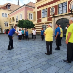 2020816_Koszeg_01