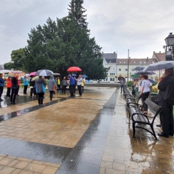 2020816_Kapuvar_12