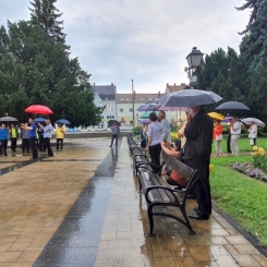 2020816_Kapuvar_13