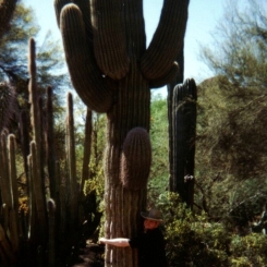 20000412-18_Amerika_098_TG_014