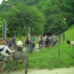 20010707-18_Nemetorszag-Svajc_VJ_41