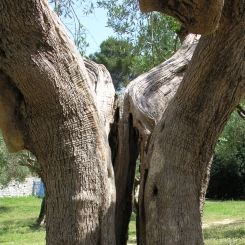 20070523-29_Olaszorszag_031_KG_041