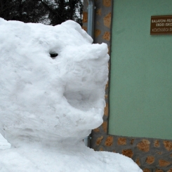 20130215-17_05a_KP_DSC_9045