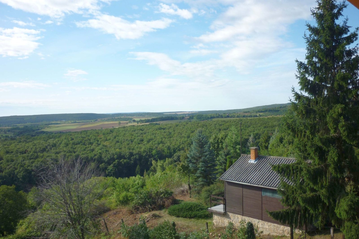 20150904-06_Korustabor_011_SZT_P1160614-k