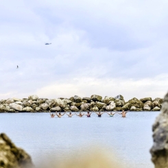 20151028_140_MA_D4M_1686