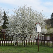 2016.04.15–17. Kórustábor Ravazdon