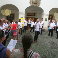 073_20180714_Korusunnep_LA_IMG_8529