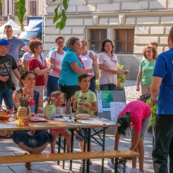20190706_Korusunnep_04