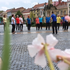 2020816_Szombathely_08