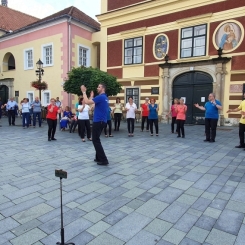 2020816_Koszeg_19